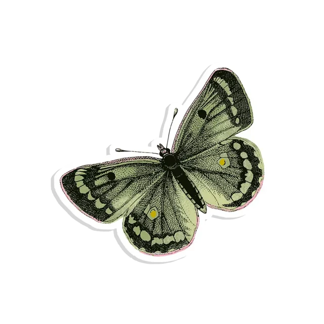 Retro Butterfly Sticker