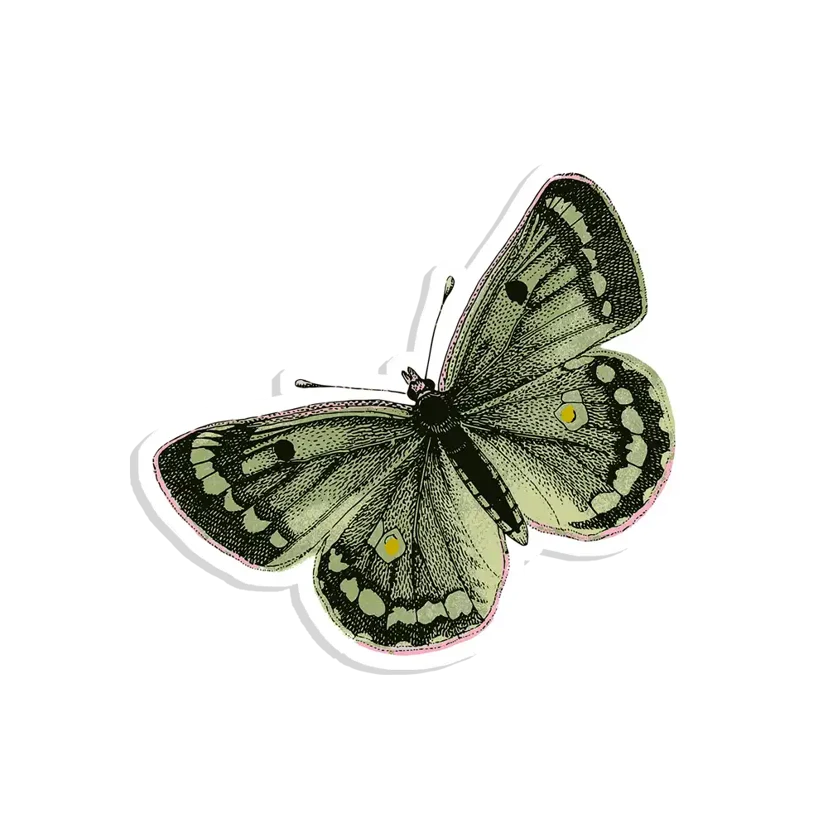Retro Butterfly Sticker