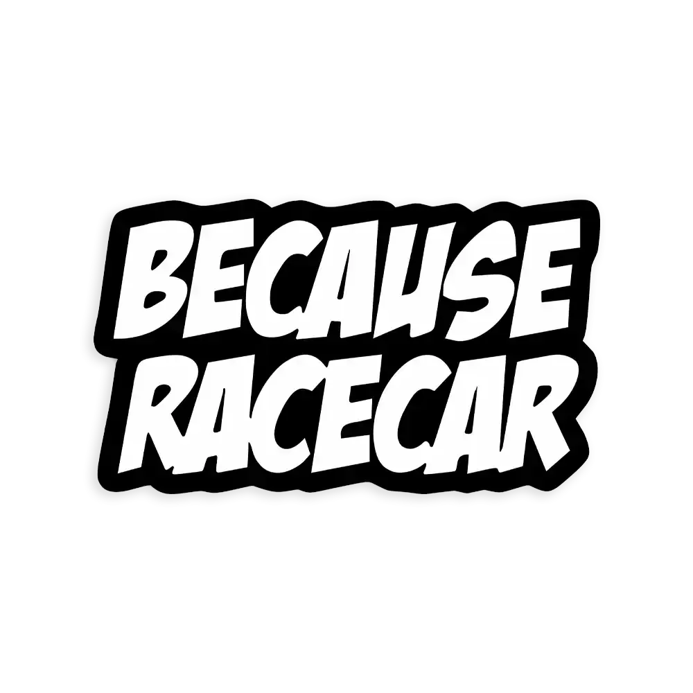 Because Racecar Sticker
