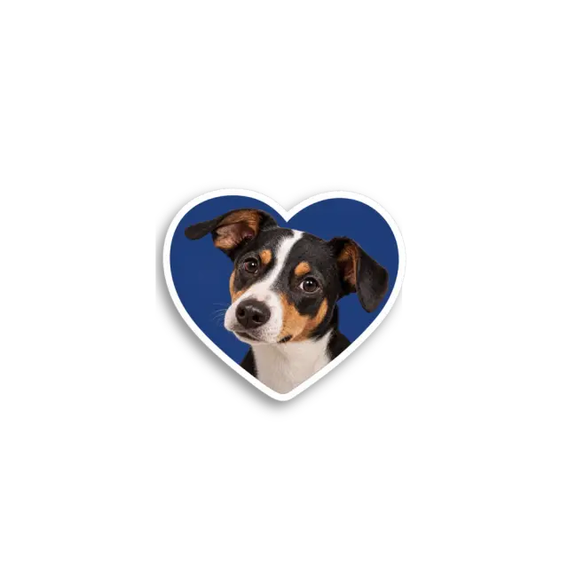 Blue Heart Dog Sticker