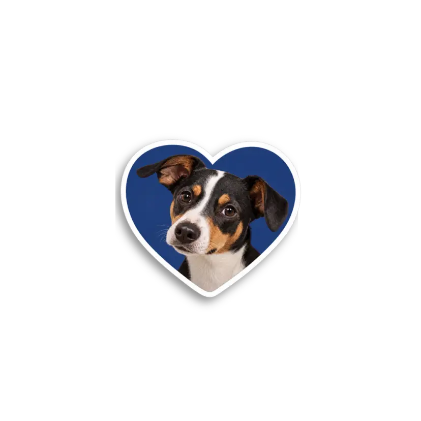 Blue Heart Dog Sticker