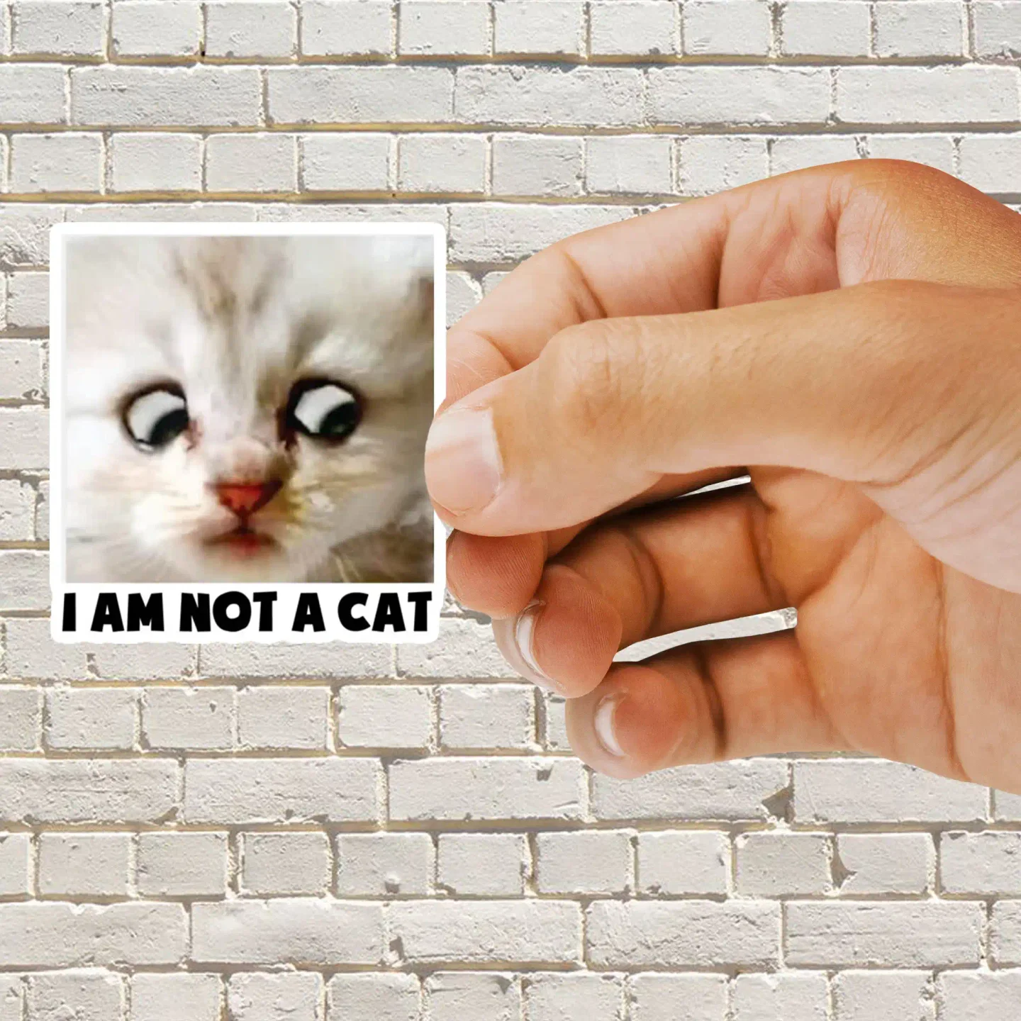 I'm not a cat Sticker