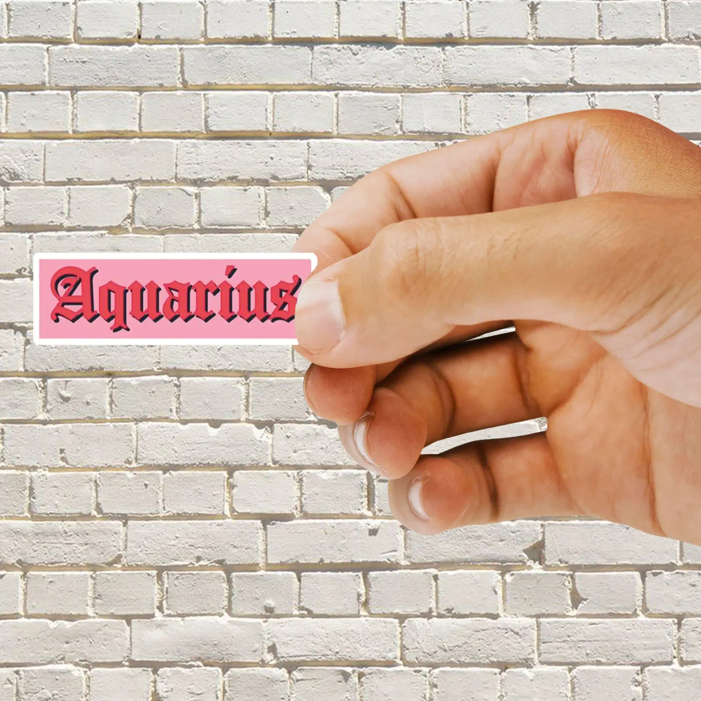 Aquarius Sticker