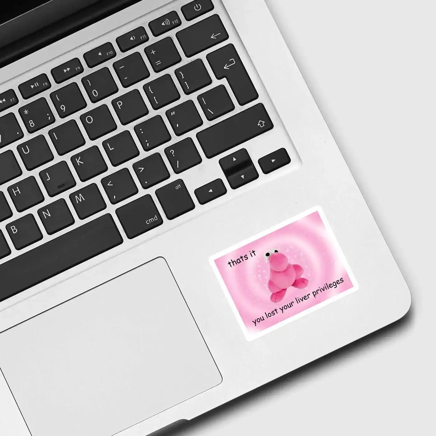 You Lost Your Liver Privileges Sticker