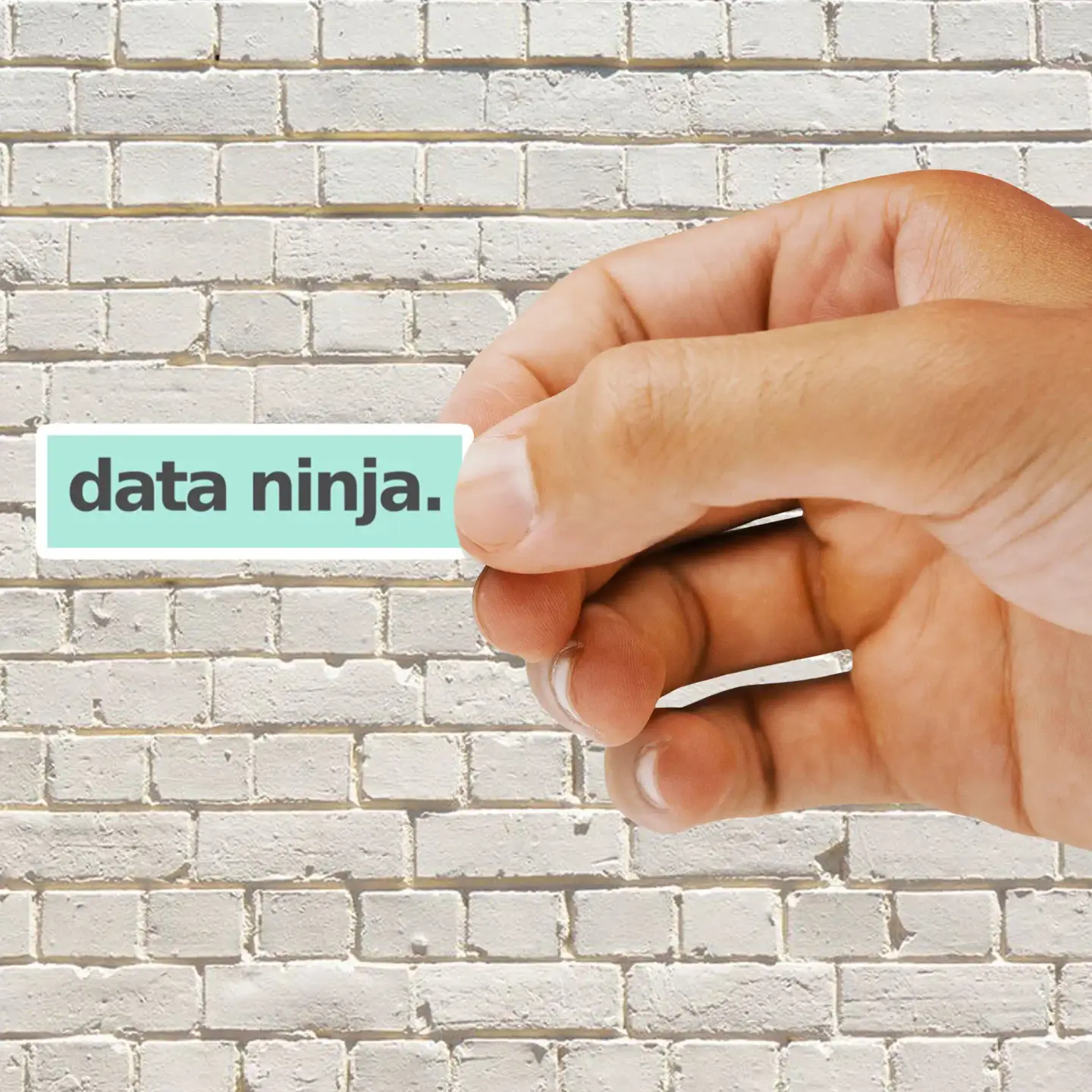 Data Ninja Sticker
