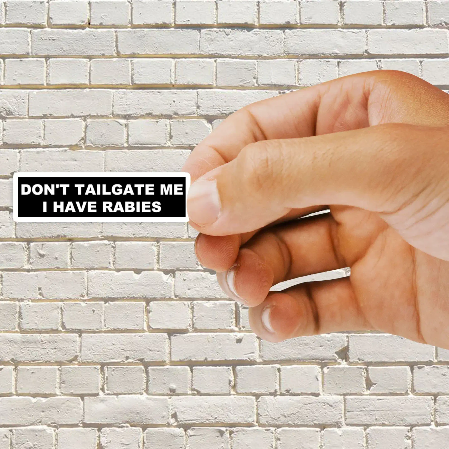 I have Raibies Sticker