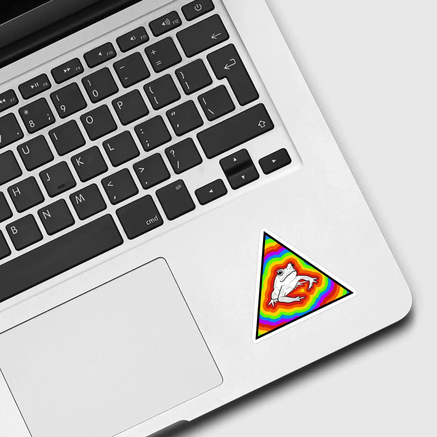 Rainbow Frog Sticker