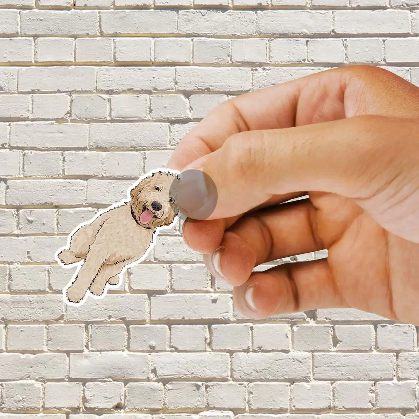 Golden Doodle Sticker
