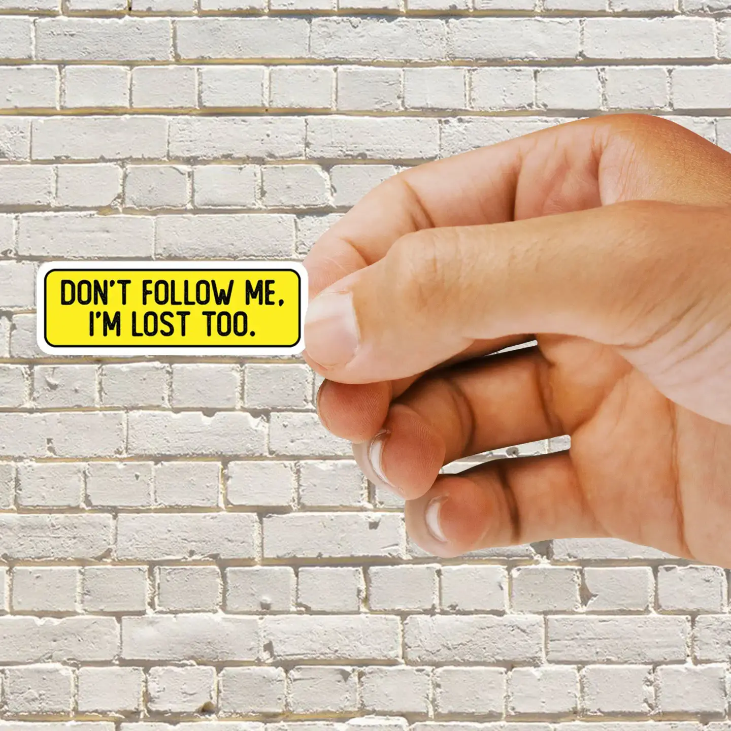 Don't Follow me Im lost too
