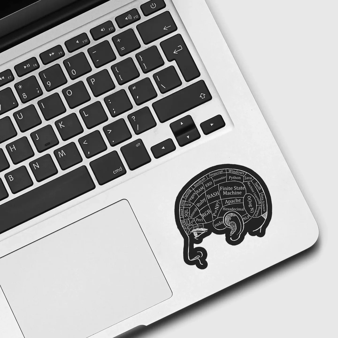 Coder Brain Sticker