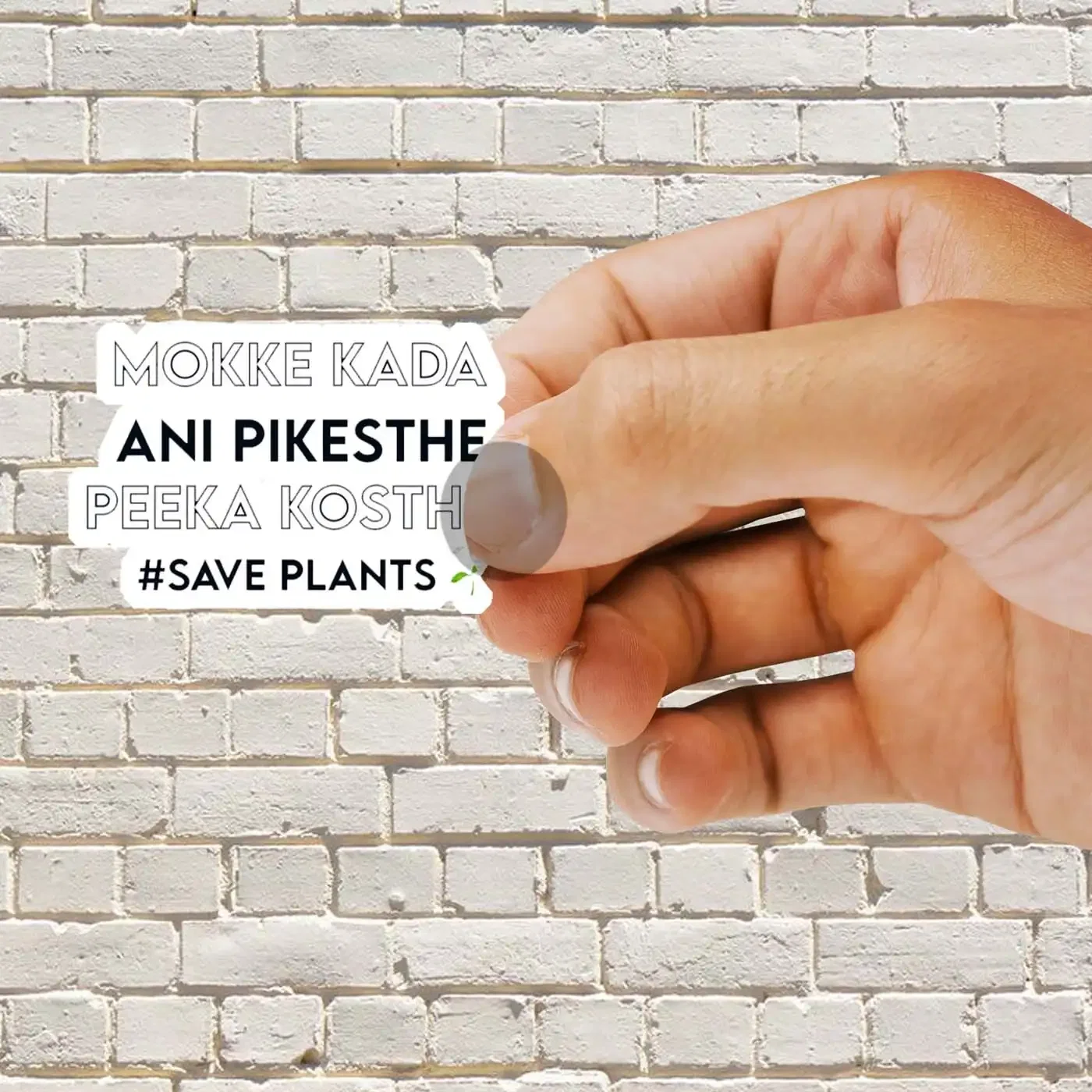 Mokke Kada ani pikesthe Sticker