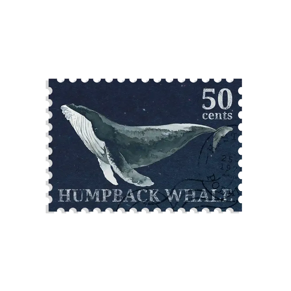 Whale Stamp Sticker