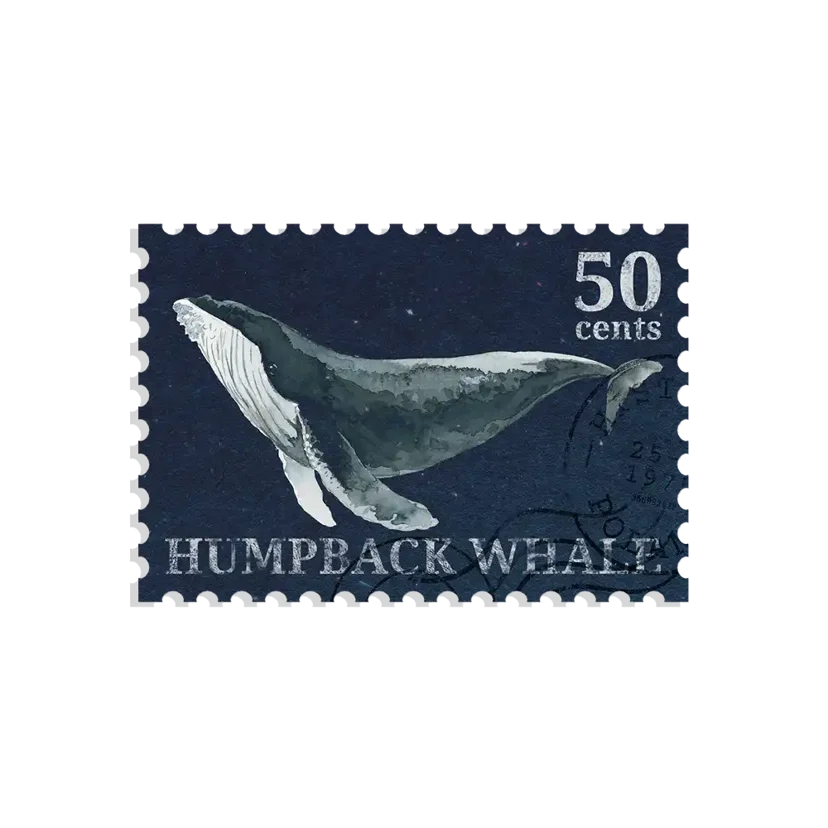 Whale Stamp Sticker