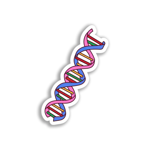 Colorful DNA Strand Sticker