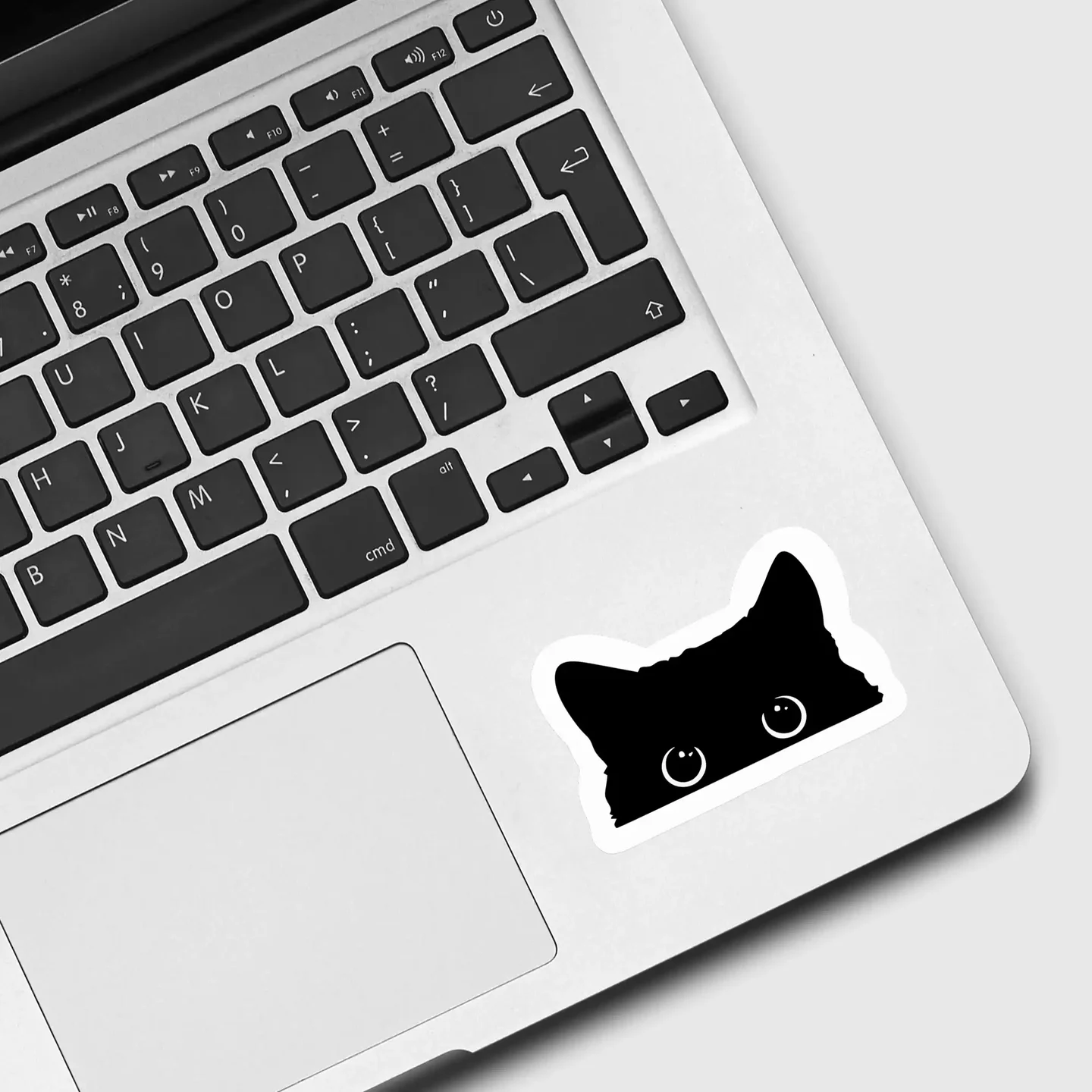 Peeking cat Sticker