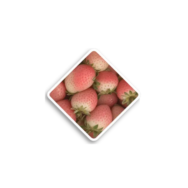 Strawberry Photo Sticker