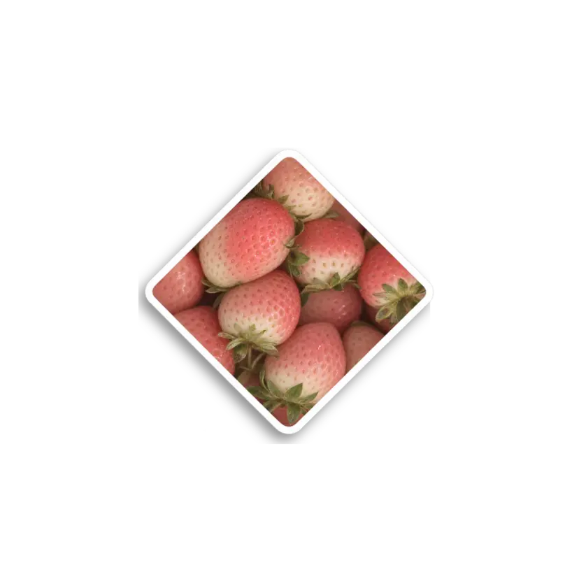Strawberry Photo Sticker