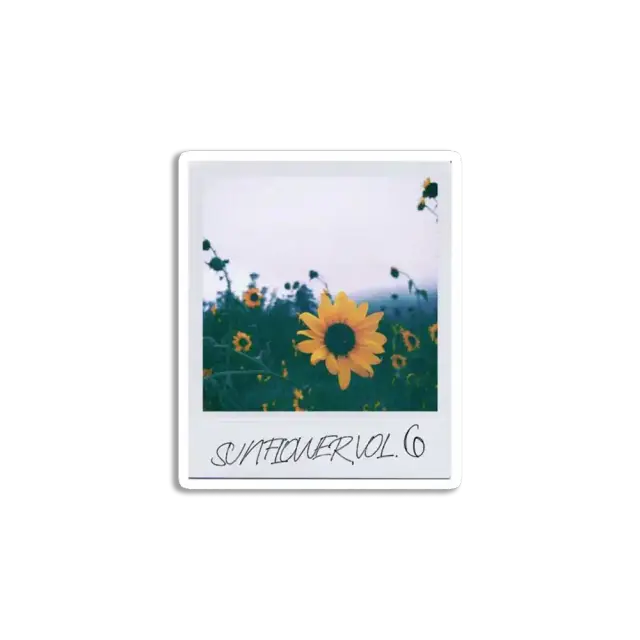 Sunflower Polaroid Sticker