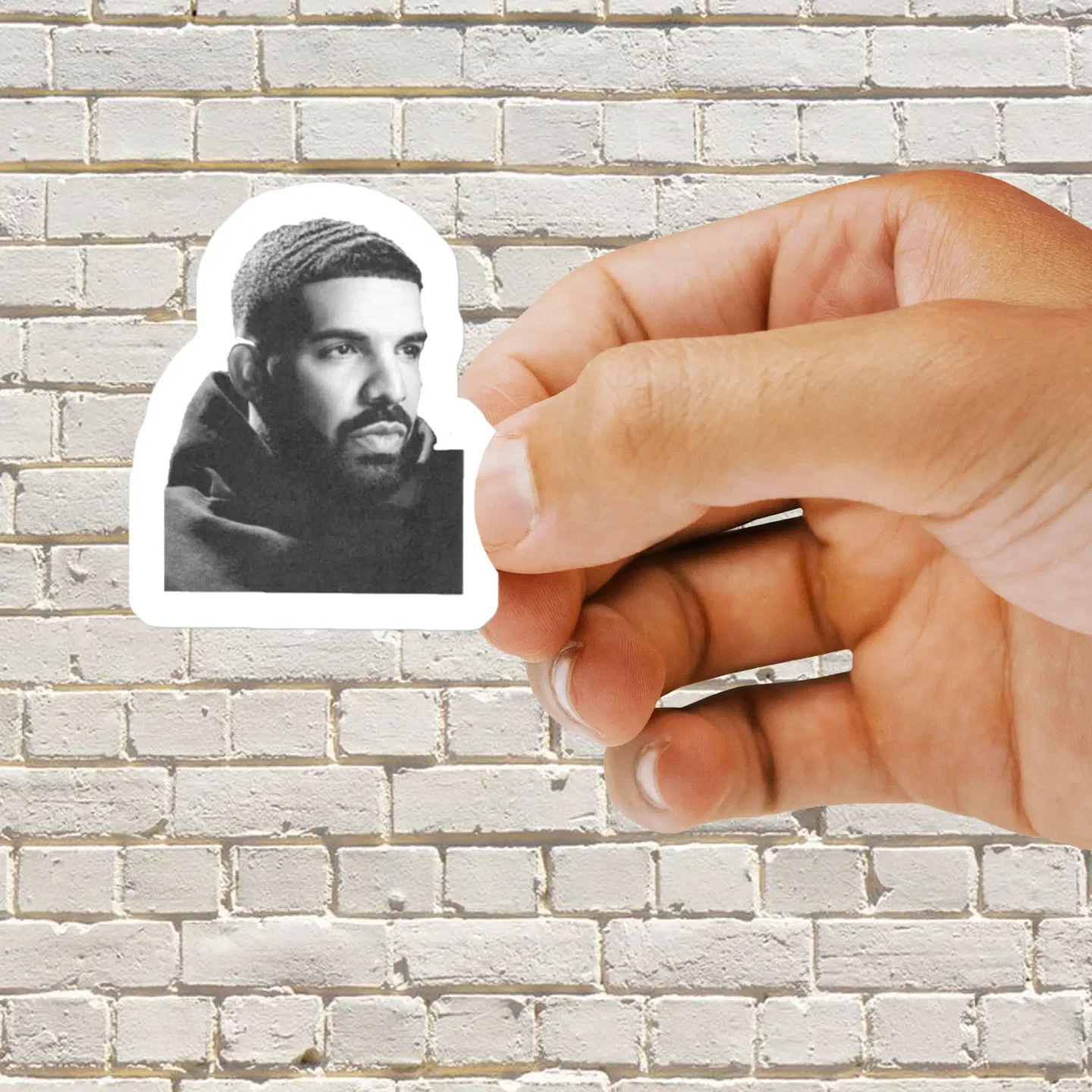 Drake Sticker