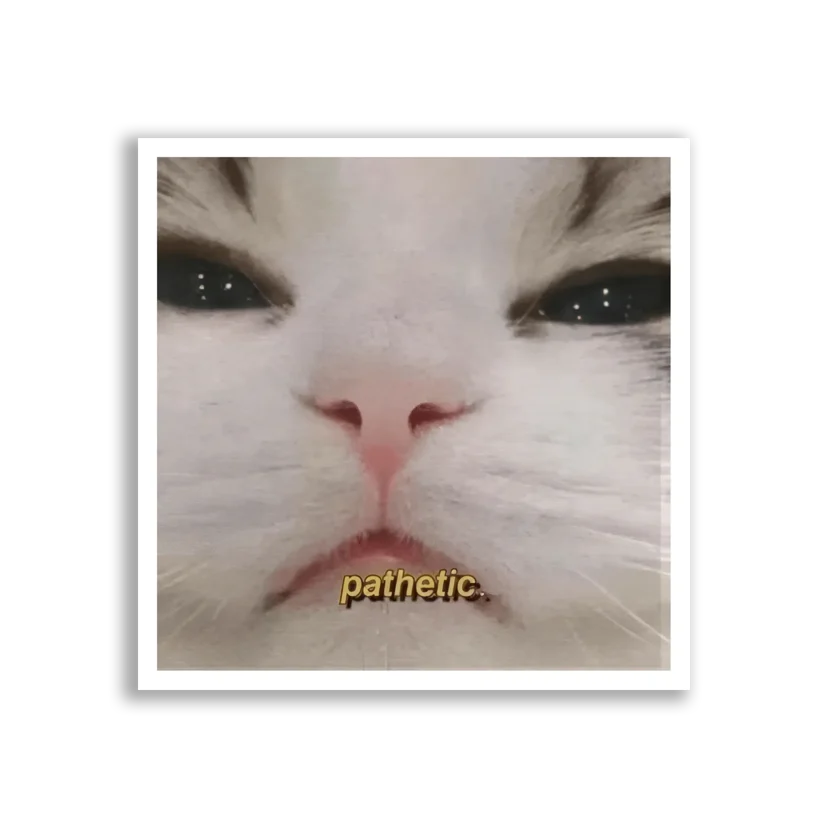 Pathetic Cat Close-Up Sticker