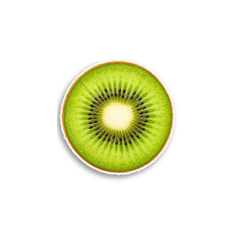 Kiwi Slice Sticker