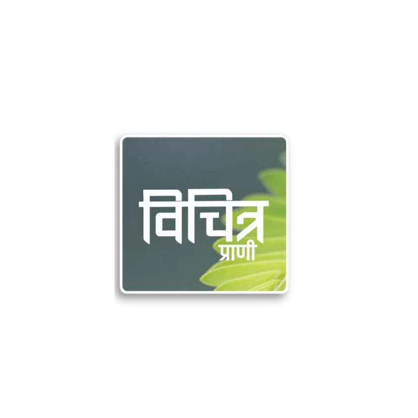 Vivid Prani Sticker