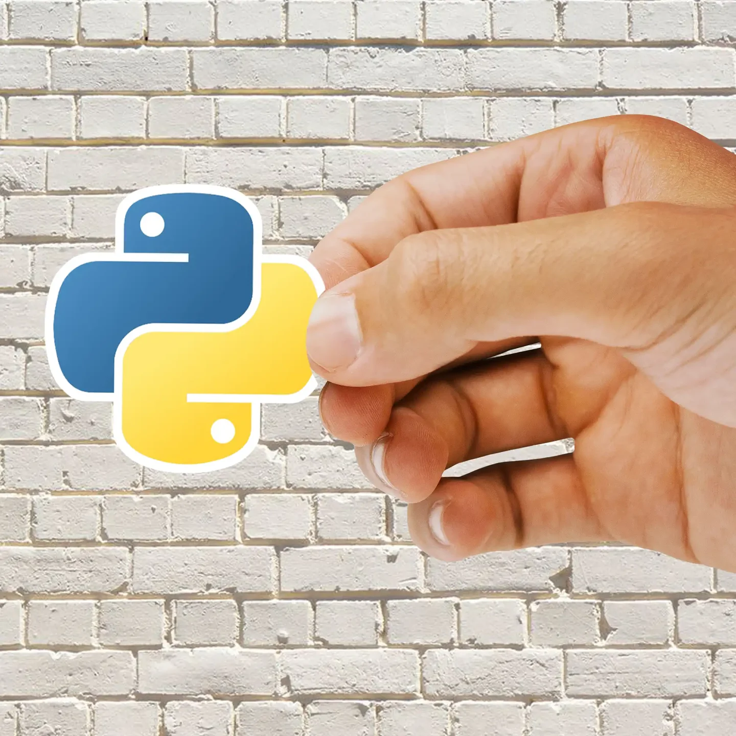Python Sticker