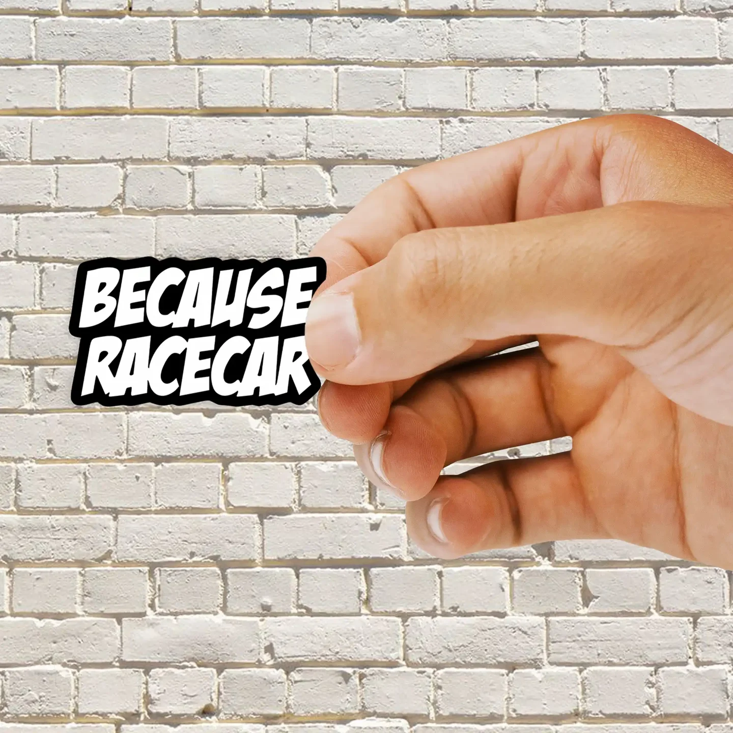 Because Racecar Sticker