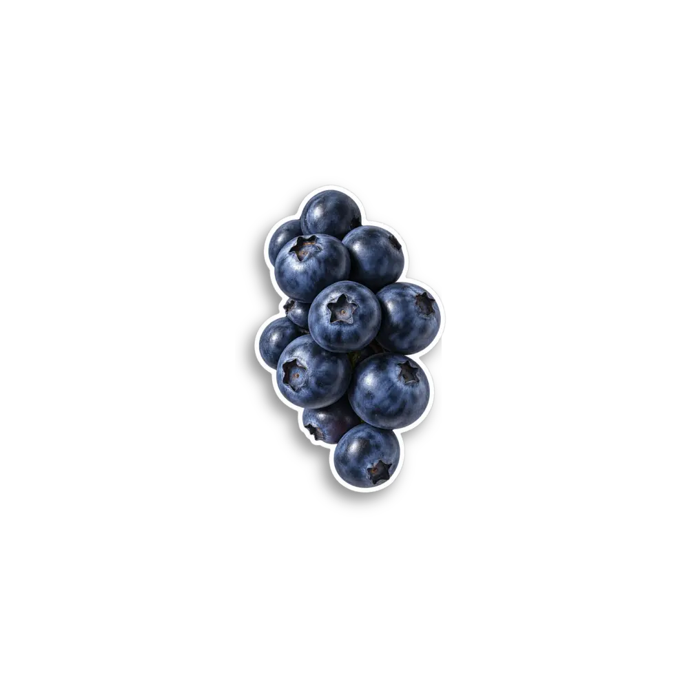 Blueberries Sticker