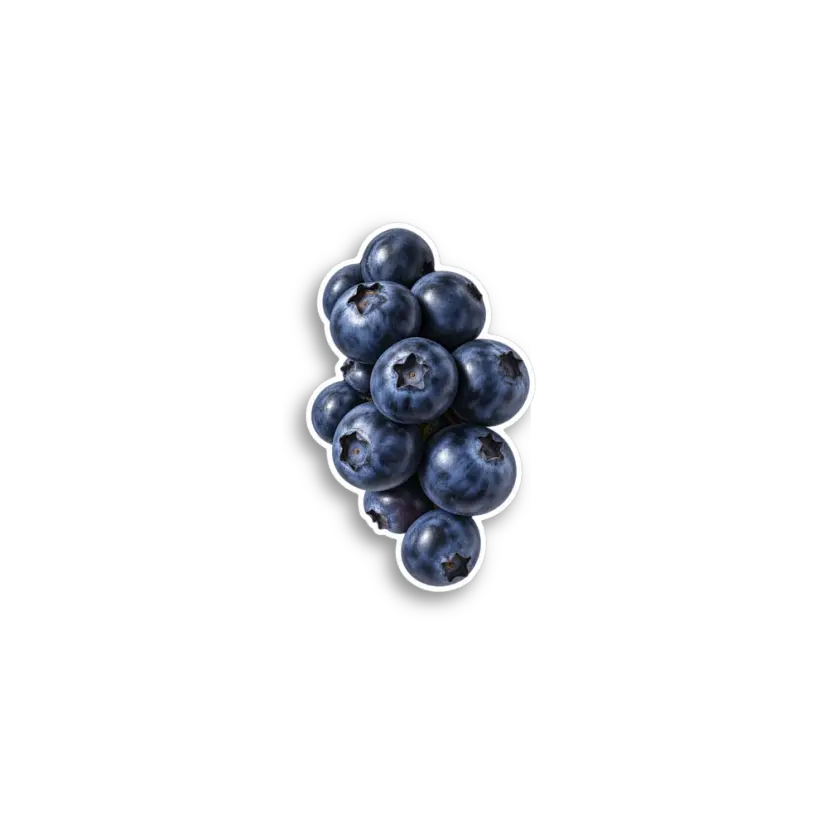Blueberries Sticker