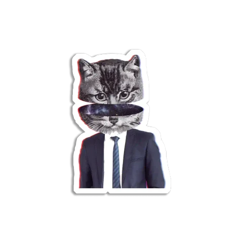 Trippy Cat Sticker