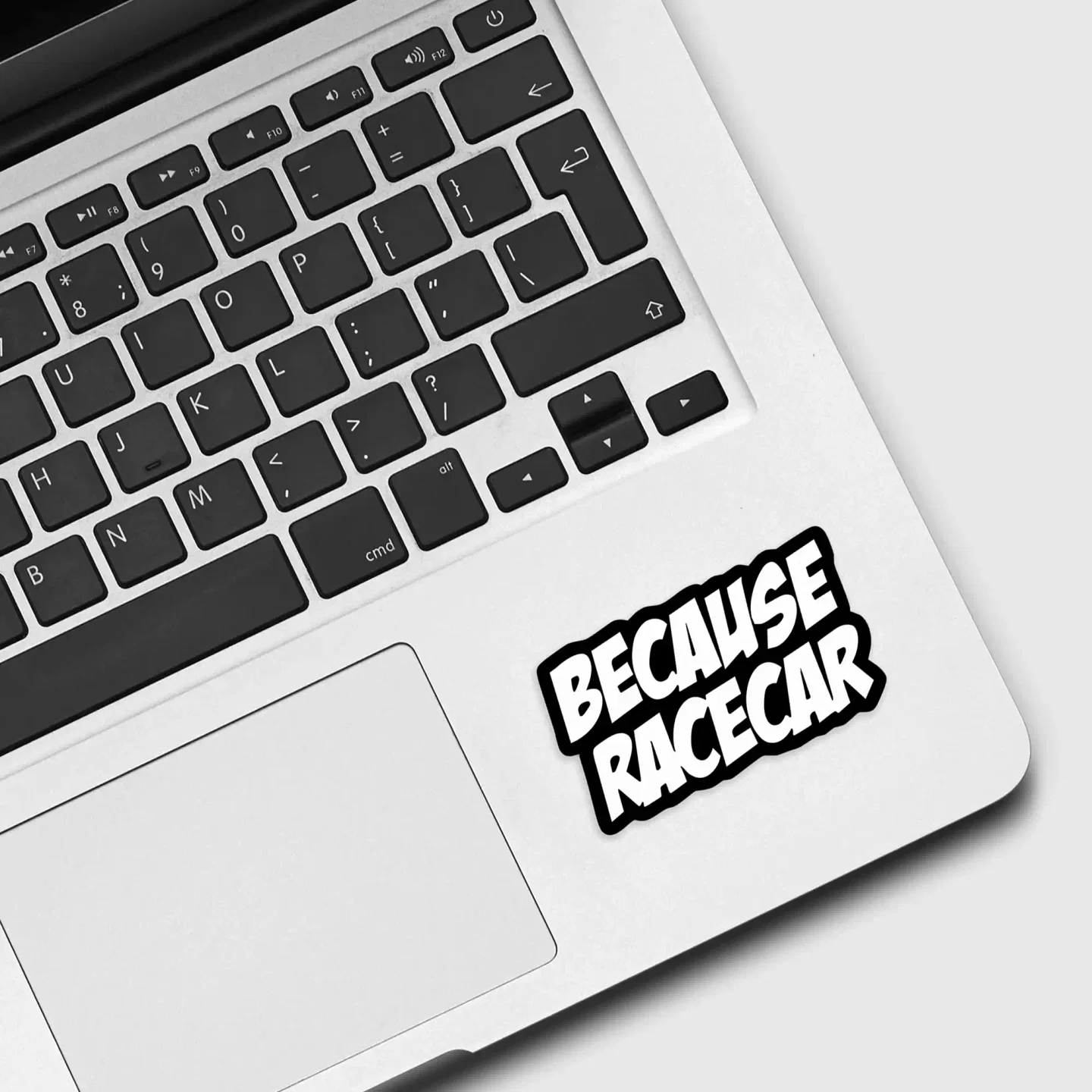 Because Racecar Sticker