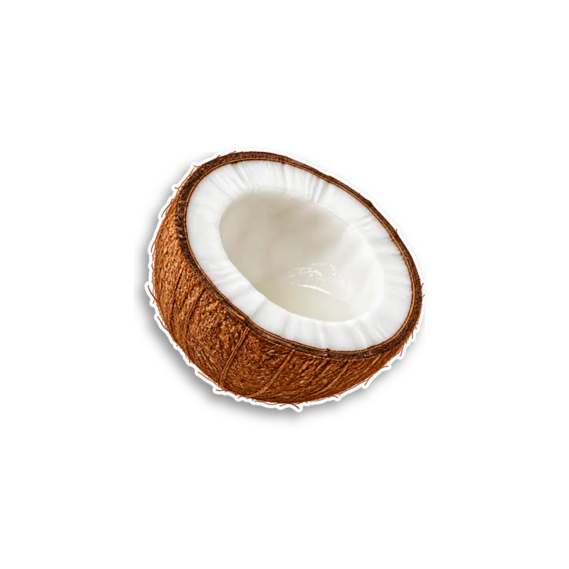 Coconut Half Sticker