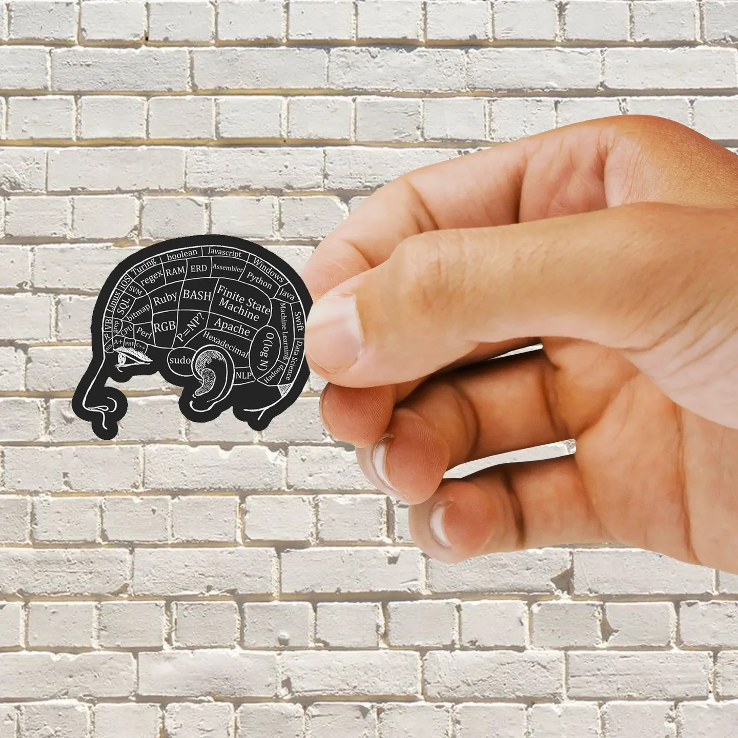Coder Brain Sticker