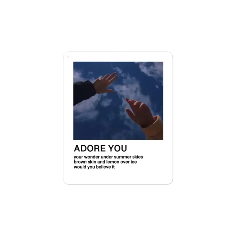 Harry Styles Adore You Polaroid Sticker