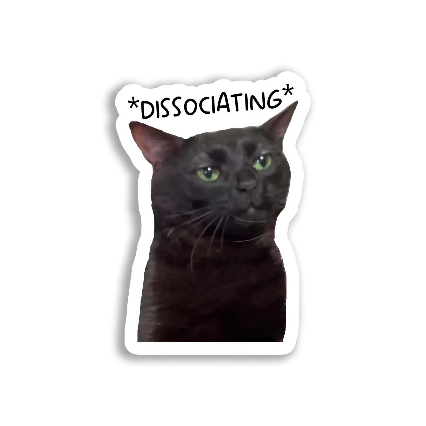 Dissociating Cat With a Blank Stare Sticker