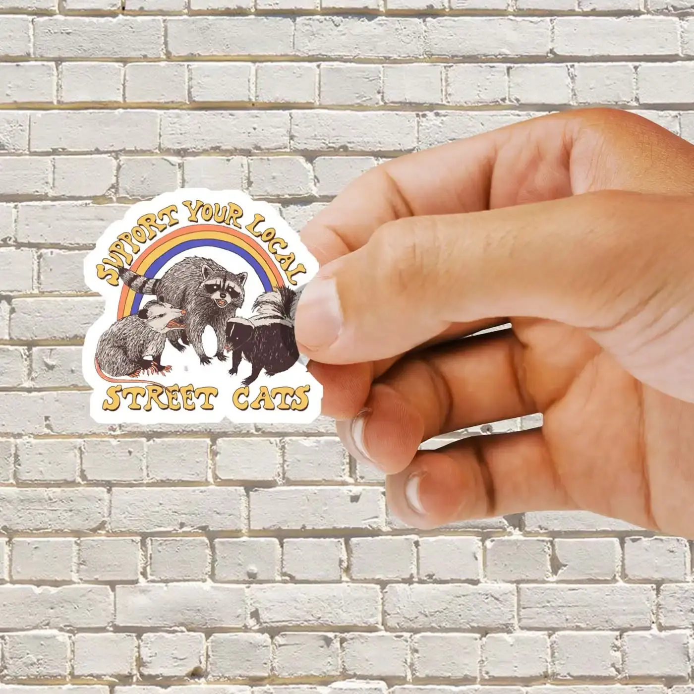 Street Cats Sticker