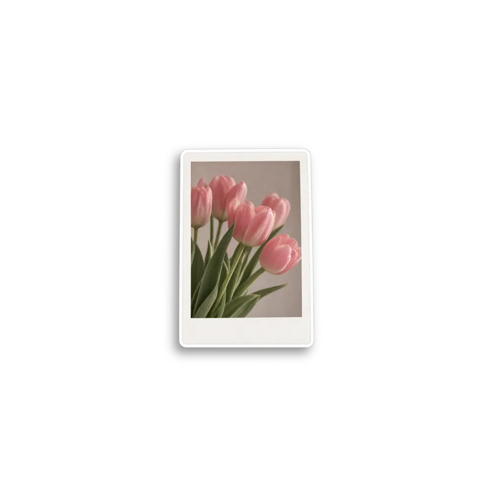 Pink Tulip Photo Sticker