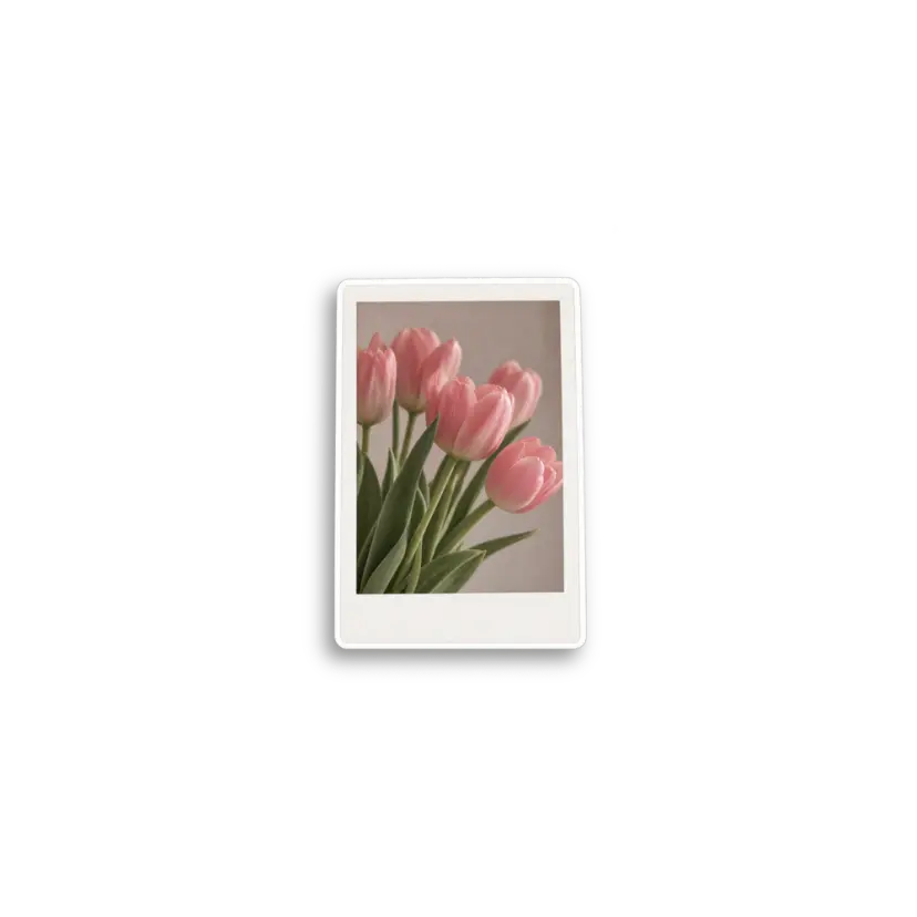 Pink Tulip Photo Sticker