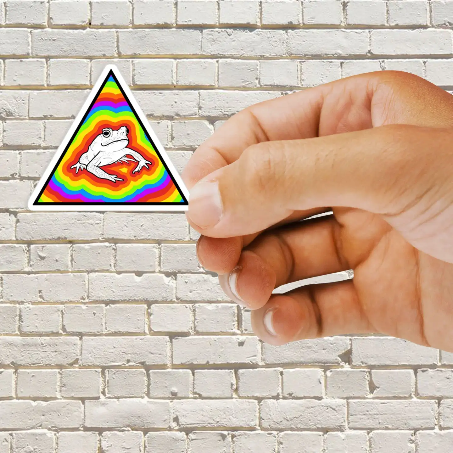Rainbow Frog Sticker