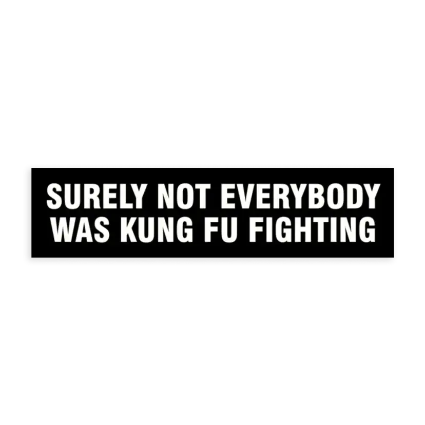 Surely not everybody was kung fu fighting  Sticker