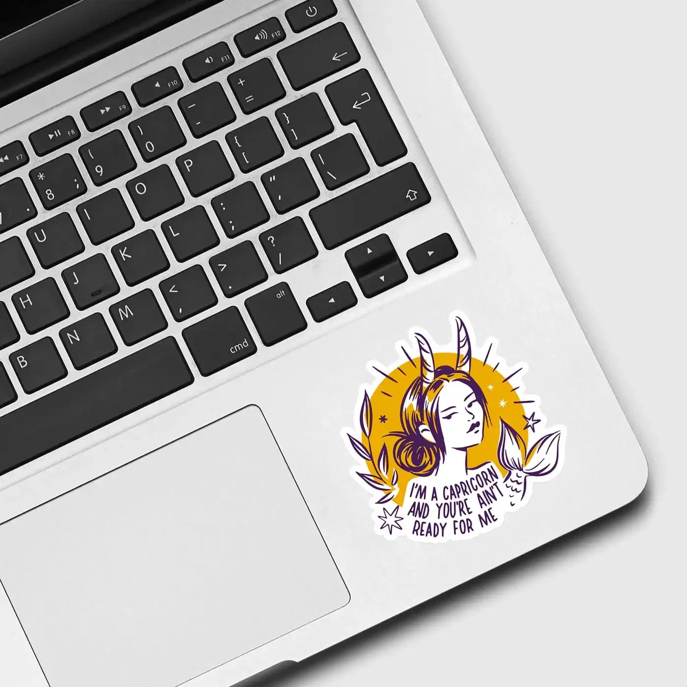 I am Capricorn and you ain't ready for me Zodiac Sticker