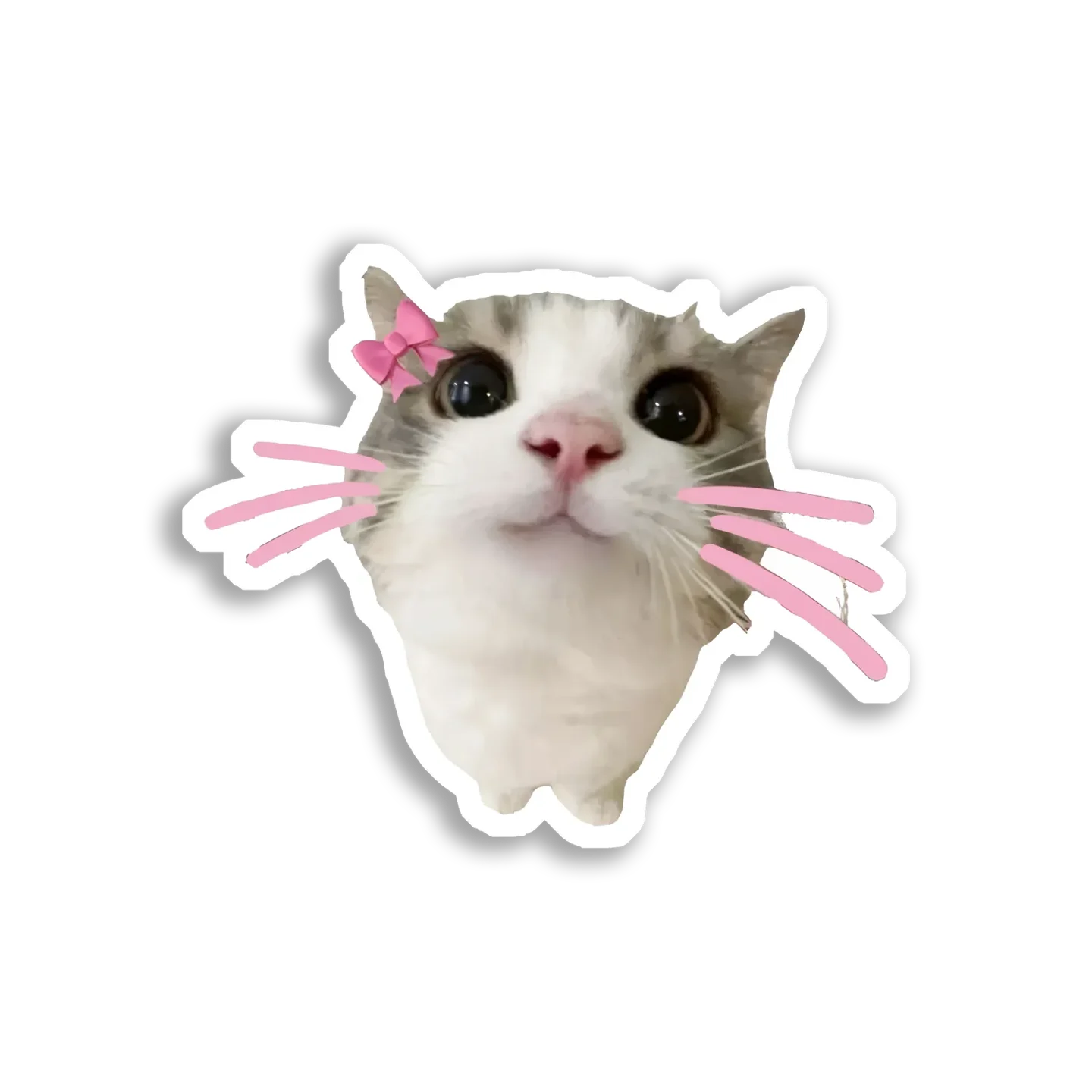 Cute Cat With a Pink Bow Sticker