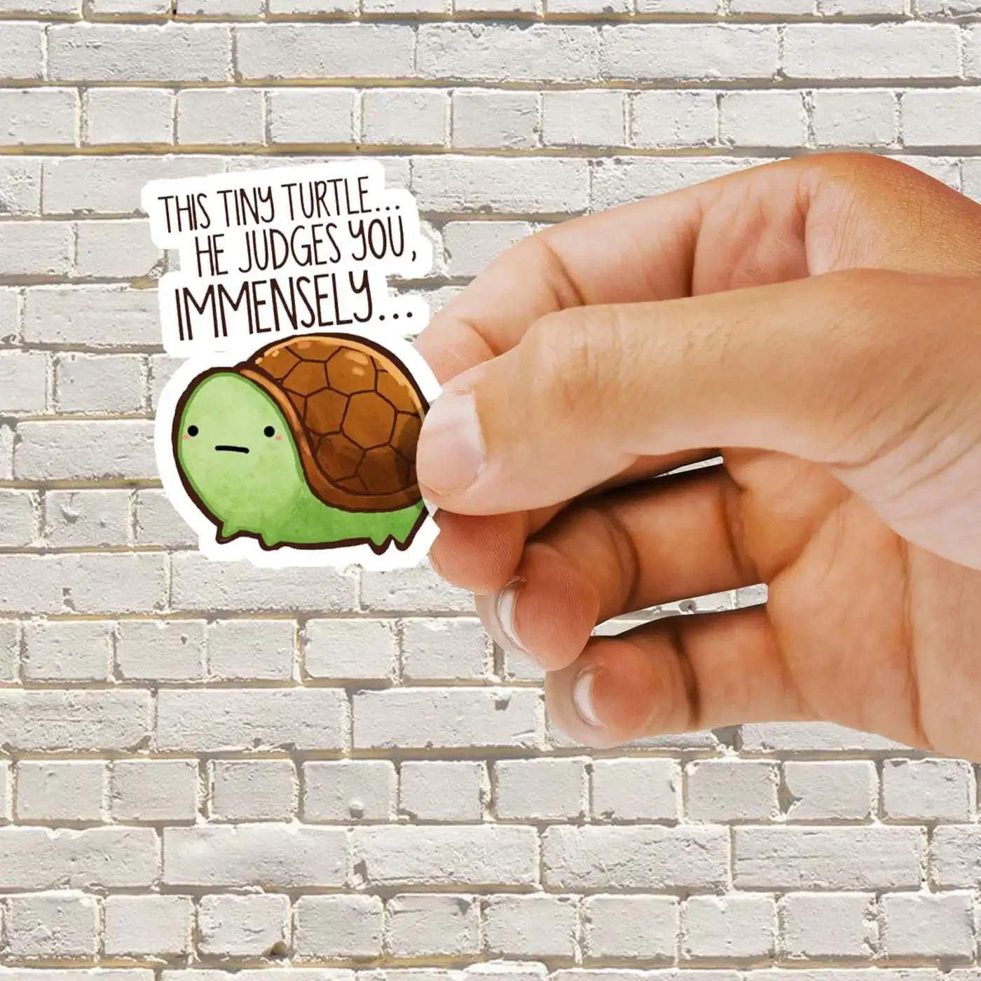 This turtle.. he judges you. Sticker
