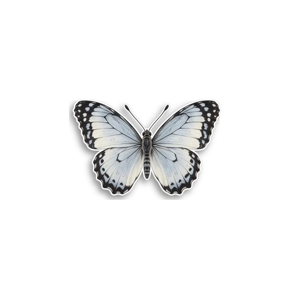 White Butterfly Sticker