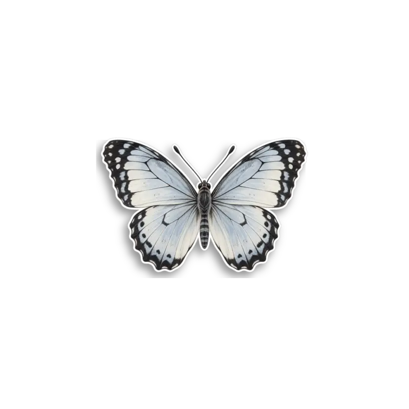 White Butterfly Sticker