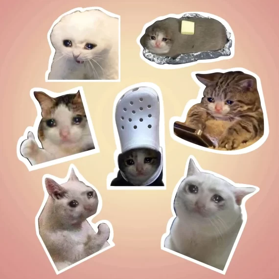 eCats Pack of Stickers