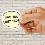 HIMYM - Have You Met Ted Sticker