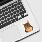 Cat with Hands Meme Sticker