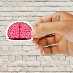 Pink Brain Sticker
